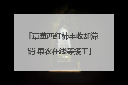 草莓西红柿丰收却滞销 果农在线等援手