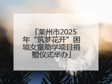 莱州市2025年“筑梦花开”困境女童助学项目捐赠仪式举办