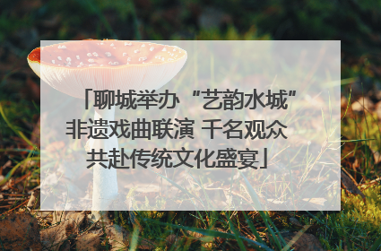 聊城举办“艺韵水城”非遗戏曲联演 千名观众共赴传统文化盛宴
