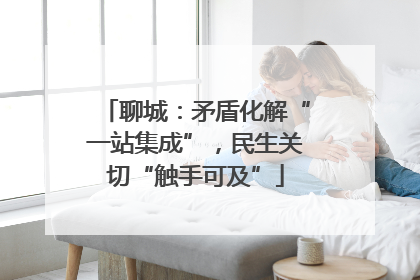 聊城：矛盾化解“一站集成”，民生关切“触手可及”