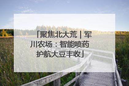聚焦北大荒｜军川农场：智能喷药护航大豆丰收