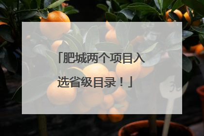 肥城两个项目入选省级目录！