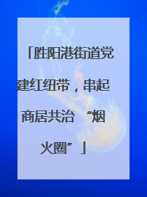 胜阳港街道党建红纽带，串起商居共治 “烟火圈”