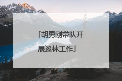 胡勇刚带队开展巡林工作