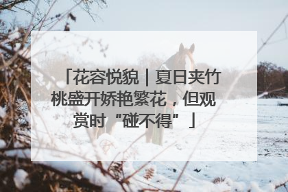 花容悦貌｜夏日夹竹桃盛开娇艳繁花，但观赏时“碰不得”