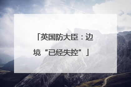 英国防大臣：边境“已经失控”