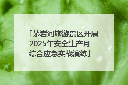 茅岩河旅游景区开展2025年安全生产月综合应急实战演练