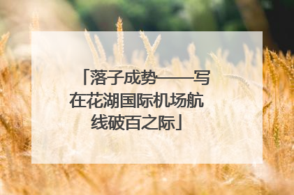 落子成势——写在花湖国际机场航线破百之际