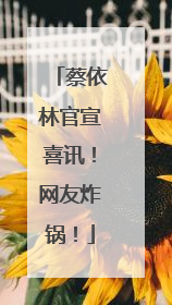 蔡依林官宣喜讯！网友炸锅！