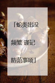 蛇类出没频繁 谨记防范事项