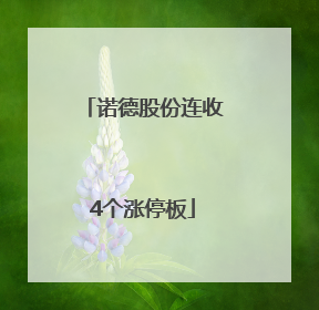 诺德股份连收4个涨停板