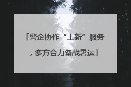 警企协作“上新”服务，多方合力备战暑运
