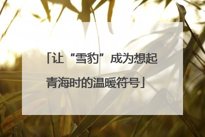 让“雪豹”成为想起青海时的温暖符号