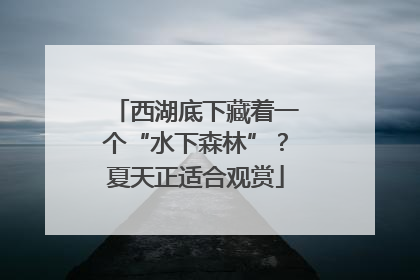 西湖底下藏着一个“水下森林”？夏天正适合观赏