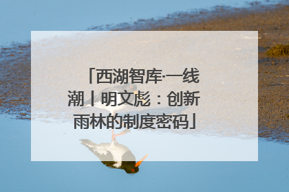 西湖智库·一线潮丨明文彪：创新雨林的制度密码