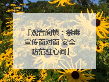 观音阁镇：禁毒宣传面对面 安全防范驻心间