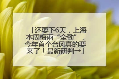 还要下6天，上海本周梅雨“全勤”，今年首个台风真的要来了！最新研判→