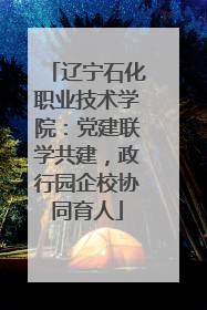 辽宁石化职业技术学院：党建联学共建，政行园企校协同育人