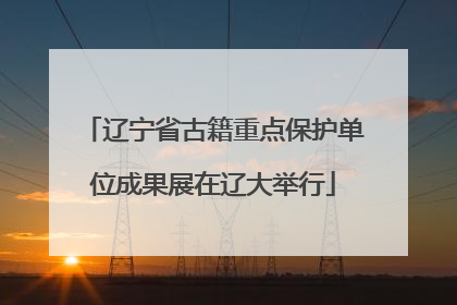 辽宁省古籍重点保护单位成果展在辽大举行