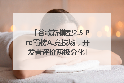 谷歌新模型2.5 Pro霸榜AI竞技场，开发者评价两极分化