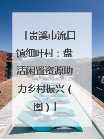 贵溪市流口镇细叶村：盘活闲置资源助力乡村振兴（图）
