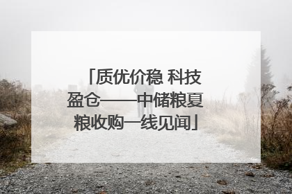 质优价稳 科技盈仓——中储粮夏粮收购一线见闻
