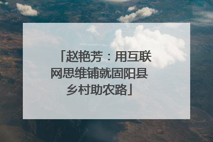 赵艳芳：用互联网思维铺就固阳县乡村助农路