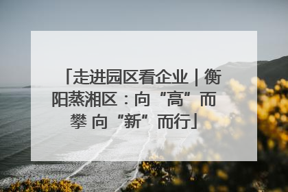 走进园区看企业｜衡阳蒸湘区：向“高”而攀 向“新”而行