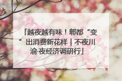 越夜越有味！郫都“变”出消费新花样｜不夜川渝·夜经济调研行