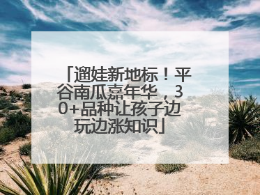 遛娃新地标！平谷南瓜嘉年华，30+品种让孩子边玩边涨知识