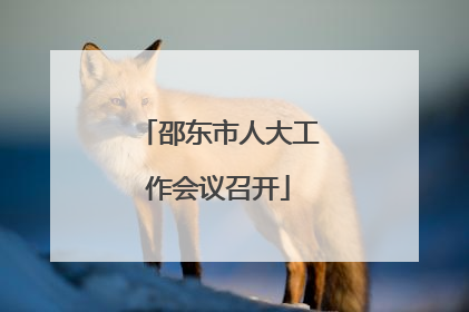 邵东市人大工作会议召开