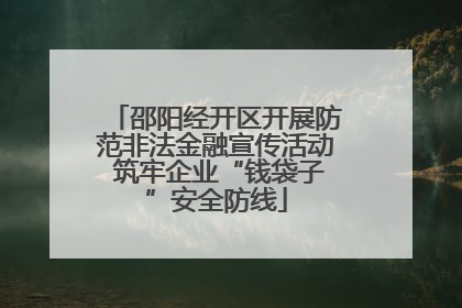 邵阳经开区开展防范非法金融宣传活动 筑牢企业“钱袋子”安全防线