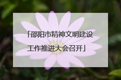 邵阳市精神文明建设工作推进大会召开