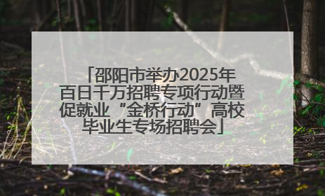 邵阳市举办2025年百日千万招聘专项行动暨促就业“金桥行动”高校毕业生专场招聘会