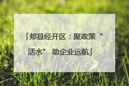 郏县经开区：聚政策“活水” 助企业远航