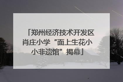 郑州经济技术开发区肖庄小学“面上生花小小非遗馆”揭幕