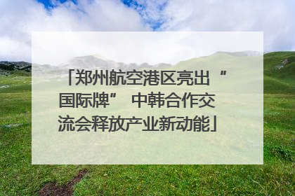 郑州航空港区亮出“国际牌” 中韩合作交流会释放产业新动能