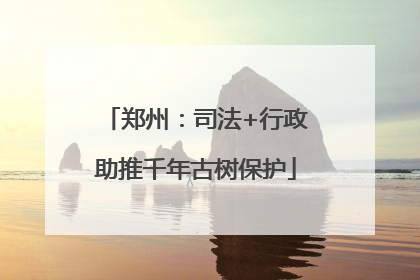 郑州：司法+行政助推千年古树保护
