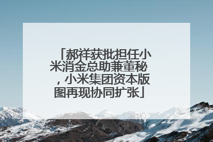 郝祥获批担任小米消金总助兼董秘，小米集团资本版图再现协同扩张