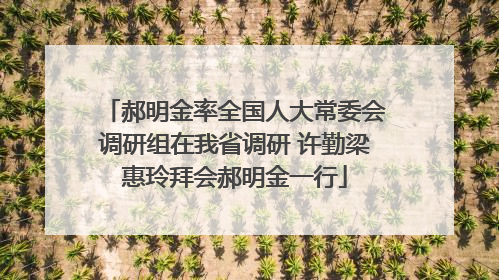 郝明金率全国人大常委会调研组在我省调研 许勤梁惠玲拜会郝明金一行
