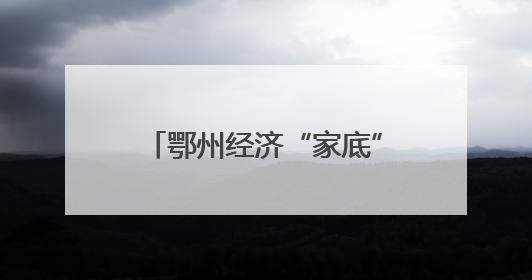 鄂州经济“家底”大揭秘！第五次全国经济普查成果出炉