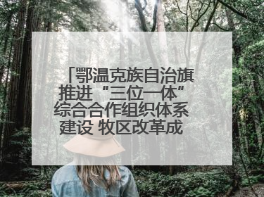 鄂温克族自治旗推进“三位一体”综合合作组织体系建设 牧区改革成果丰硕