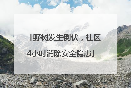 野树发生倒伏，社区4小时消除安全隐患