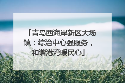 青岛西海岸新区大场镇：综治中心强服务，和谐港湾暖民心