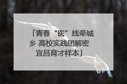 青春“医”线牵城乡 高校实践团解密宜昌育才样本