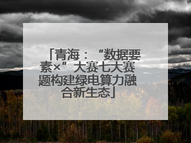 青海：“数据要素×”大赛七大赛题构建绿电算力融合新生态