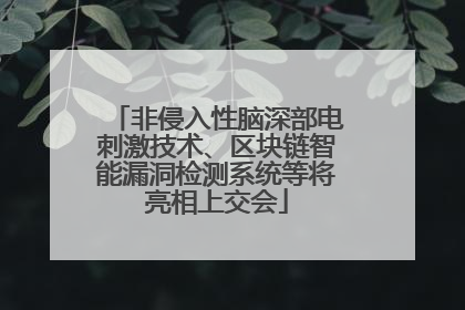 非侵入性脑深部电刺激技术、区块链智能漏洞检测系统等将亮相上交会
