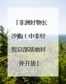 非洲好物长沙购！中非经贸总部基地对外开放
