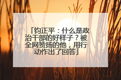 钧正平：什么是政治干部的好样子？被全网赞扬的他，用行动作出了回答