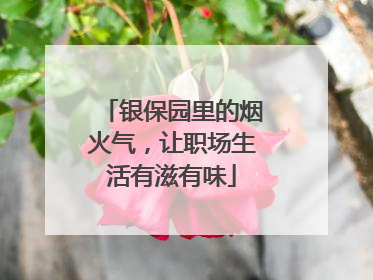 银保园里的烟火气，让职场生活有滋有味